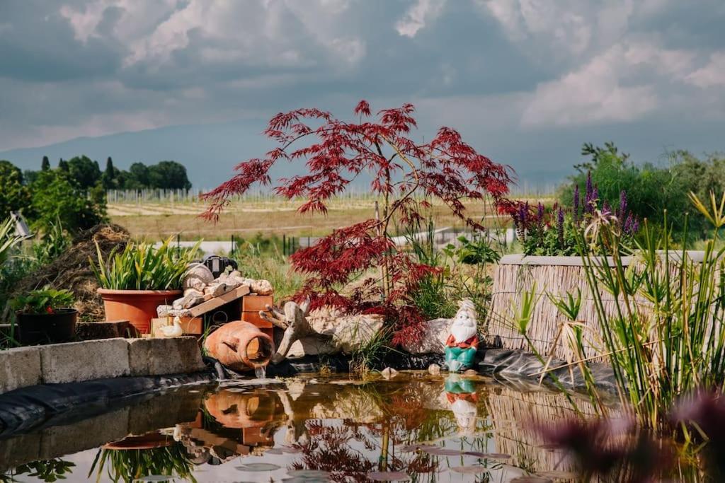 Country Apartment, Near Bardolino And Lazise Calmasino Экстерьер фото