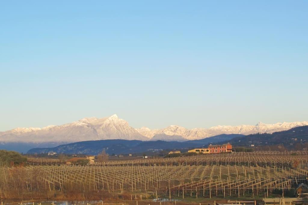 Country Apartment, Near Bardolino And Lazise Calmasino Экстерьер фото
